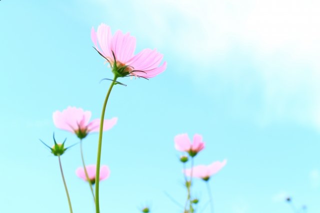 産業用特殊プリンタの検査・修理