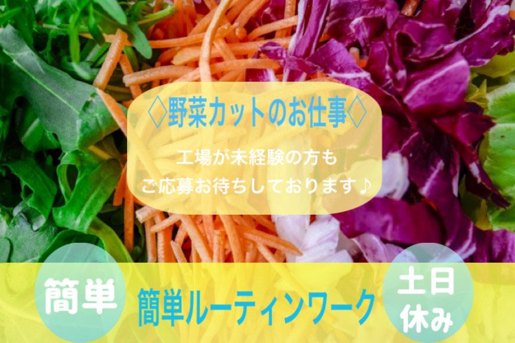 野菜の加工製造